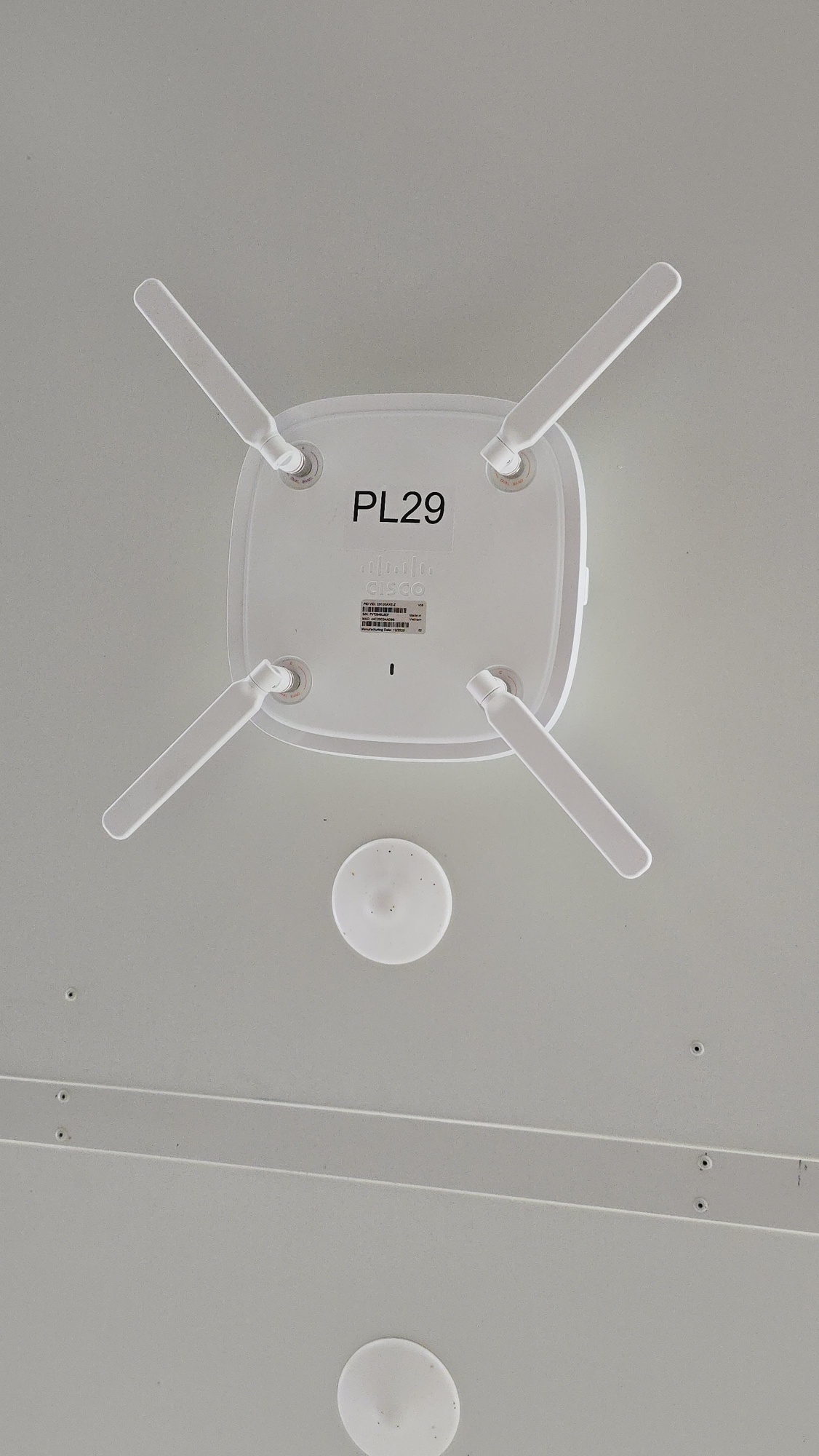 PL29 Access Point